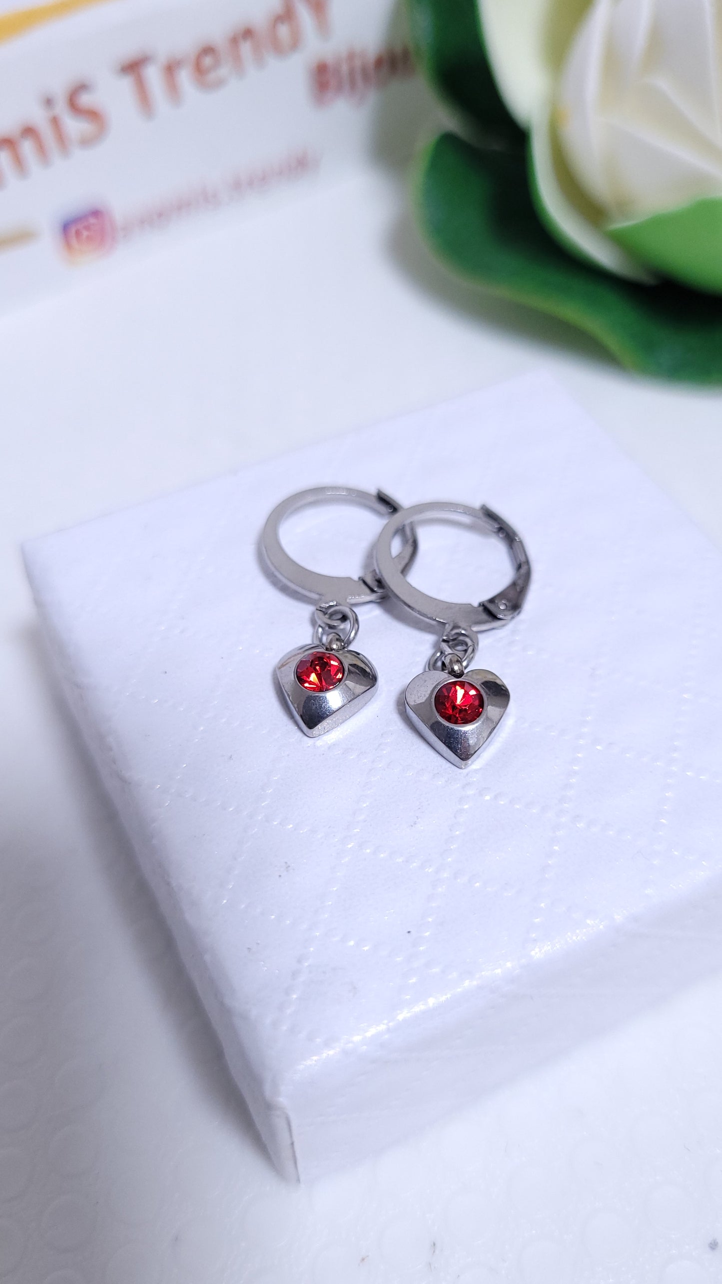 Orecchini cerchietti 1cm con pendente Cuore e punto luce Rosso Rubino