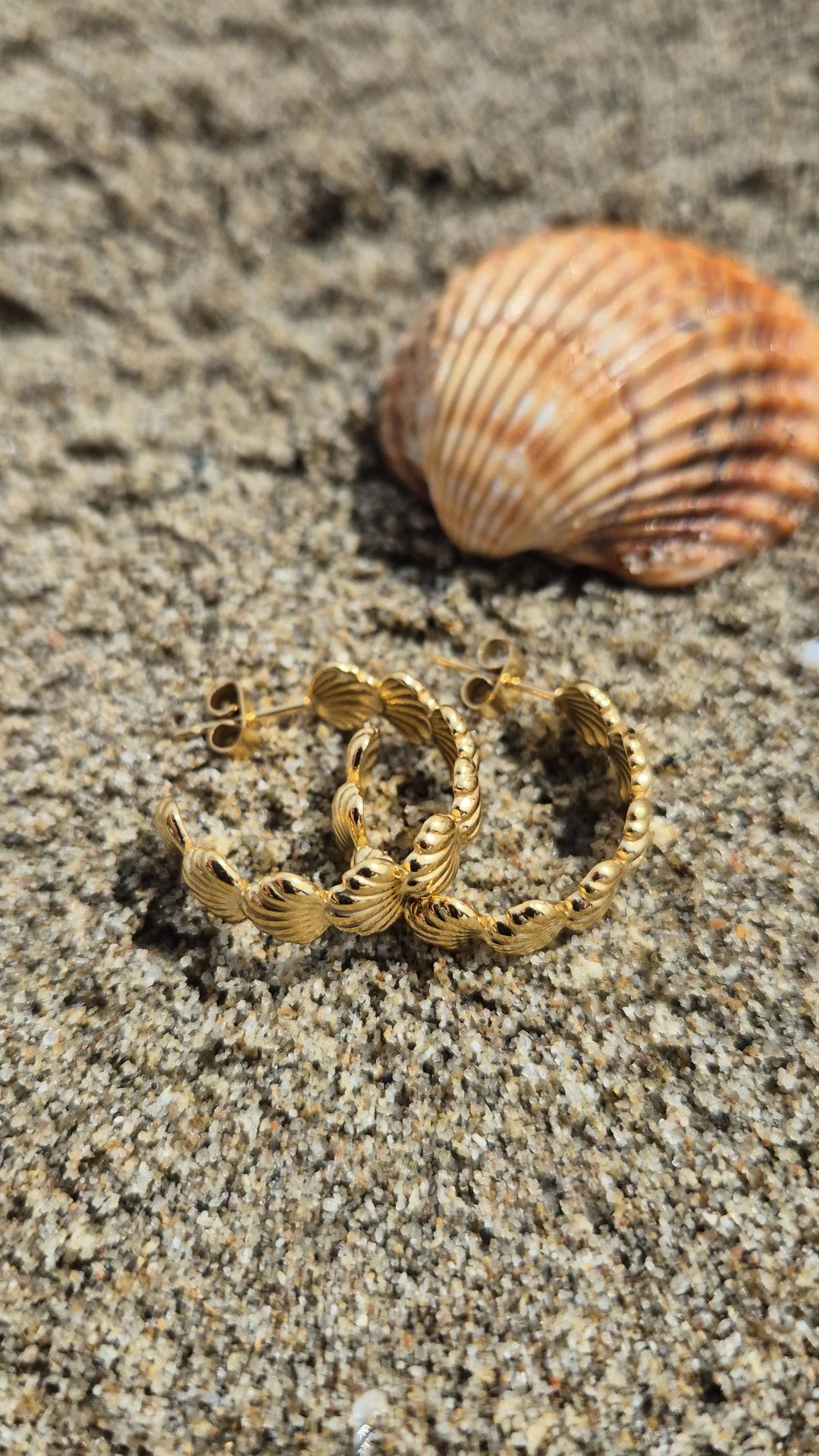 Orecchini giro Conchiglie 🐚 2cm in acciaio anallergico Silver o Gold