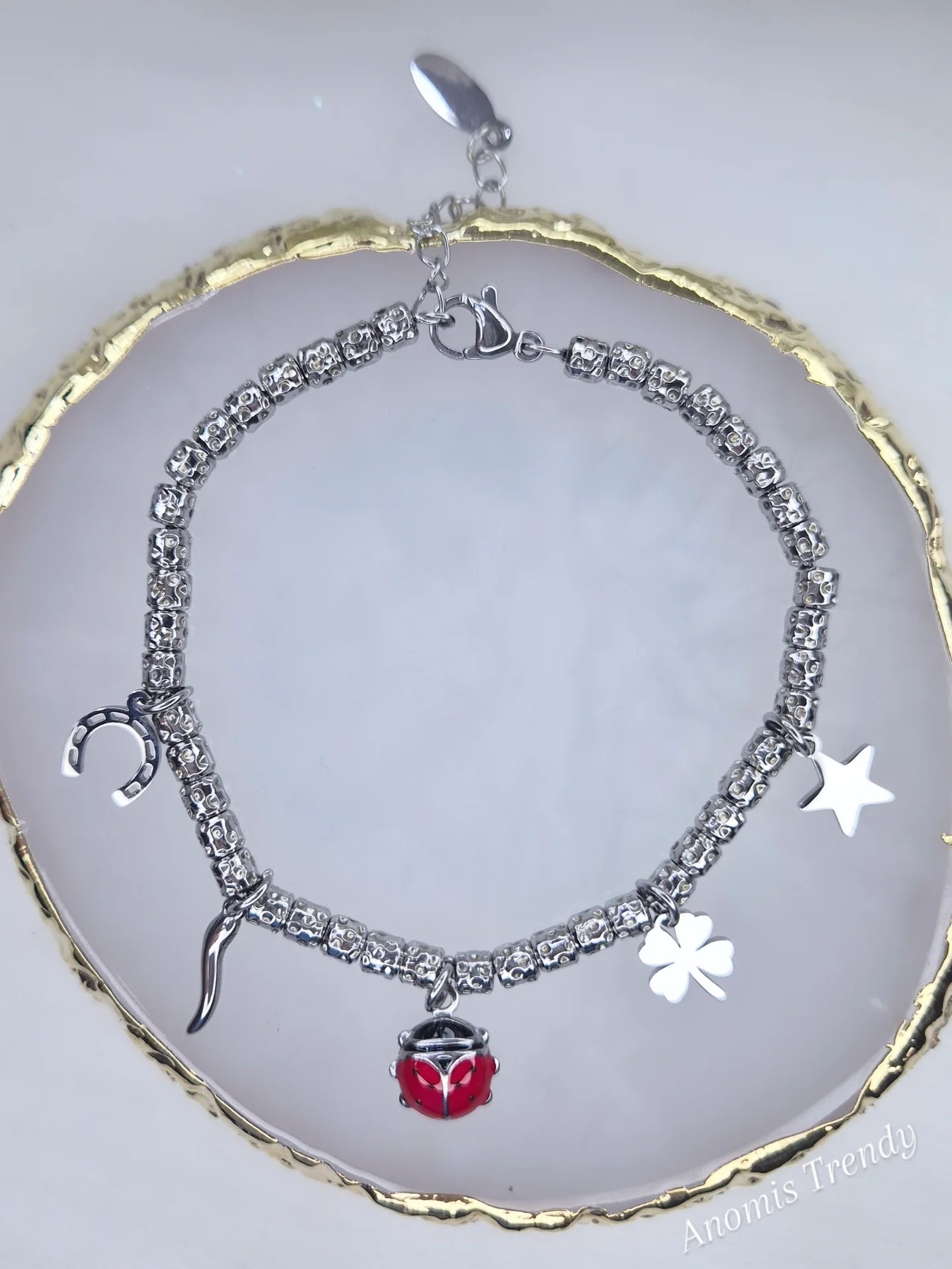 Nuovi Bracciali mod. D0D0🦤 PortaFortuna in acciaio Silver o bicolor con charms smaltati e zirconati