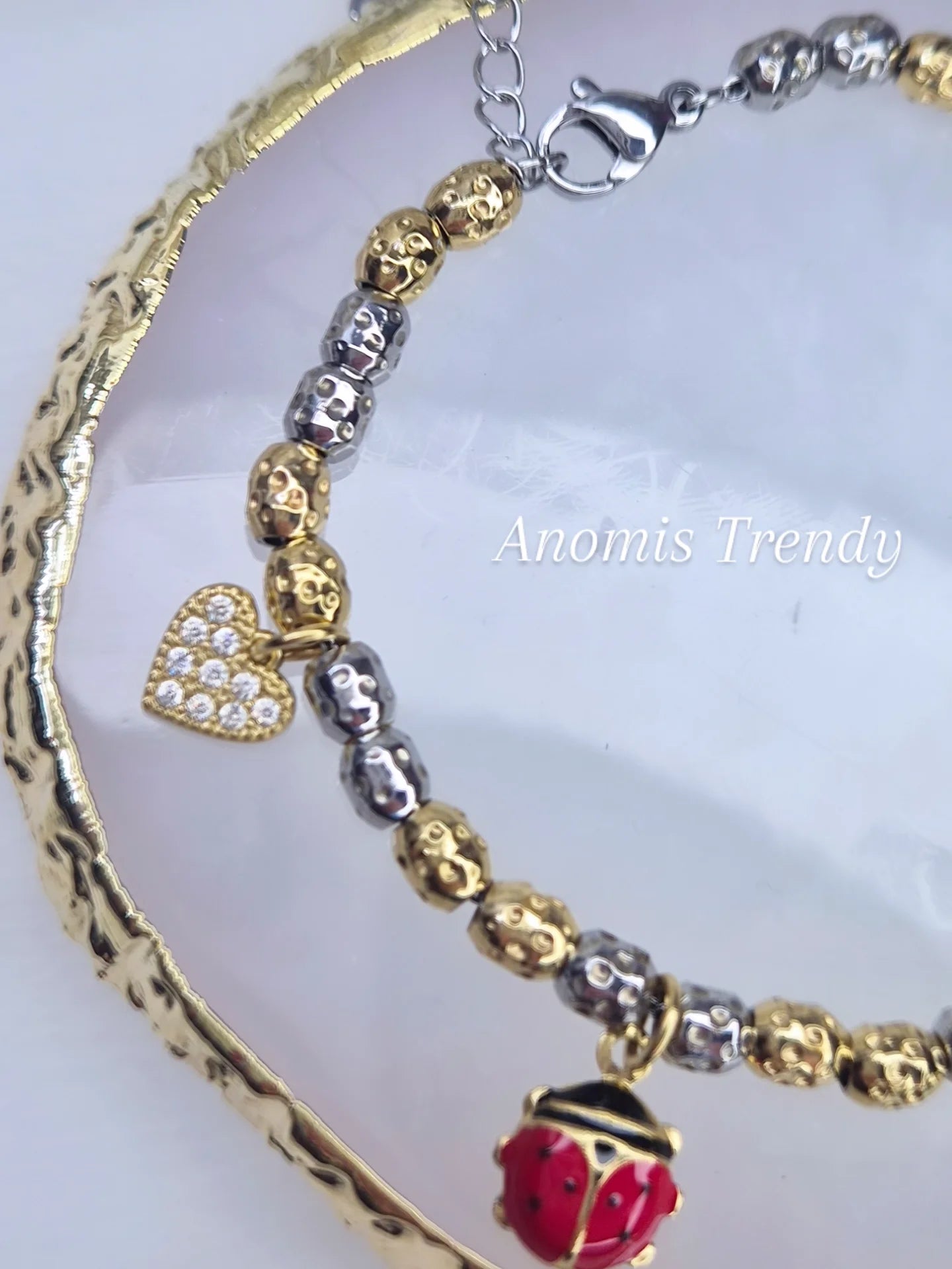 Nuovi Bracciali mod. D0D0🦤 PortaFortuna in acciaio Silver o bicolor con charms smaltati e zirconati