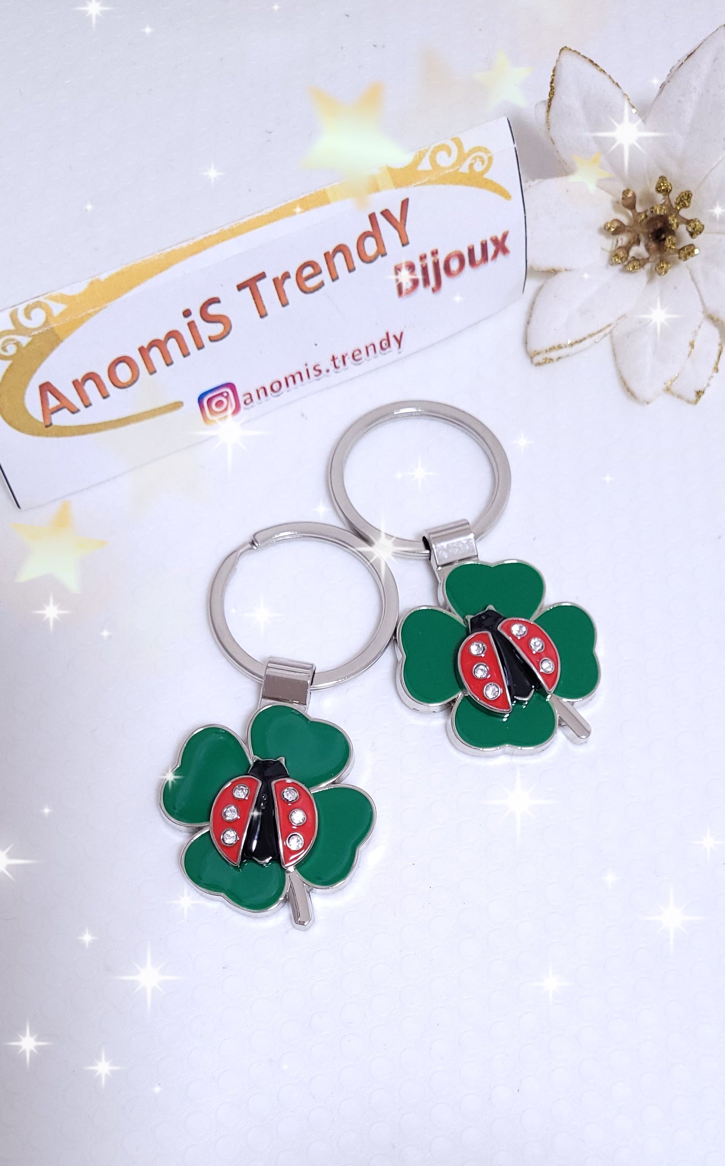 PortaChiavi PortaFortuna 🍀🐞in acciaio smaltato con Zirconi 💎